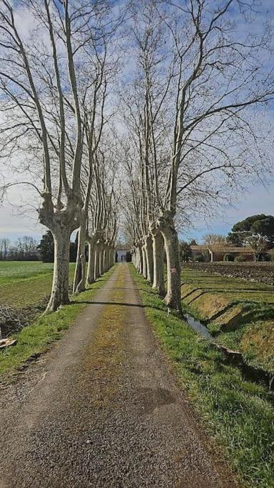 Hebergement - Canal Du Midi Saint-Martin-Lalande ภายนอก รูปภาพ
